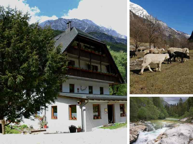 Camping Vallée de la Soča Slovénie | Jelinčič