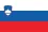 slovenia-flag-png-large